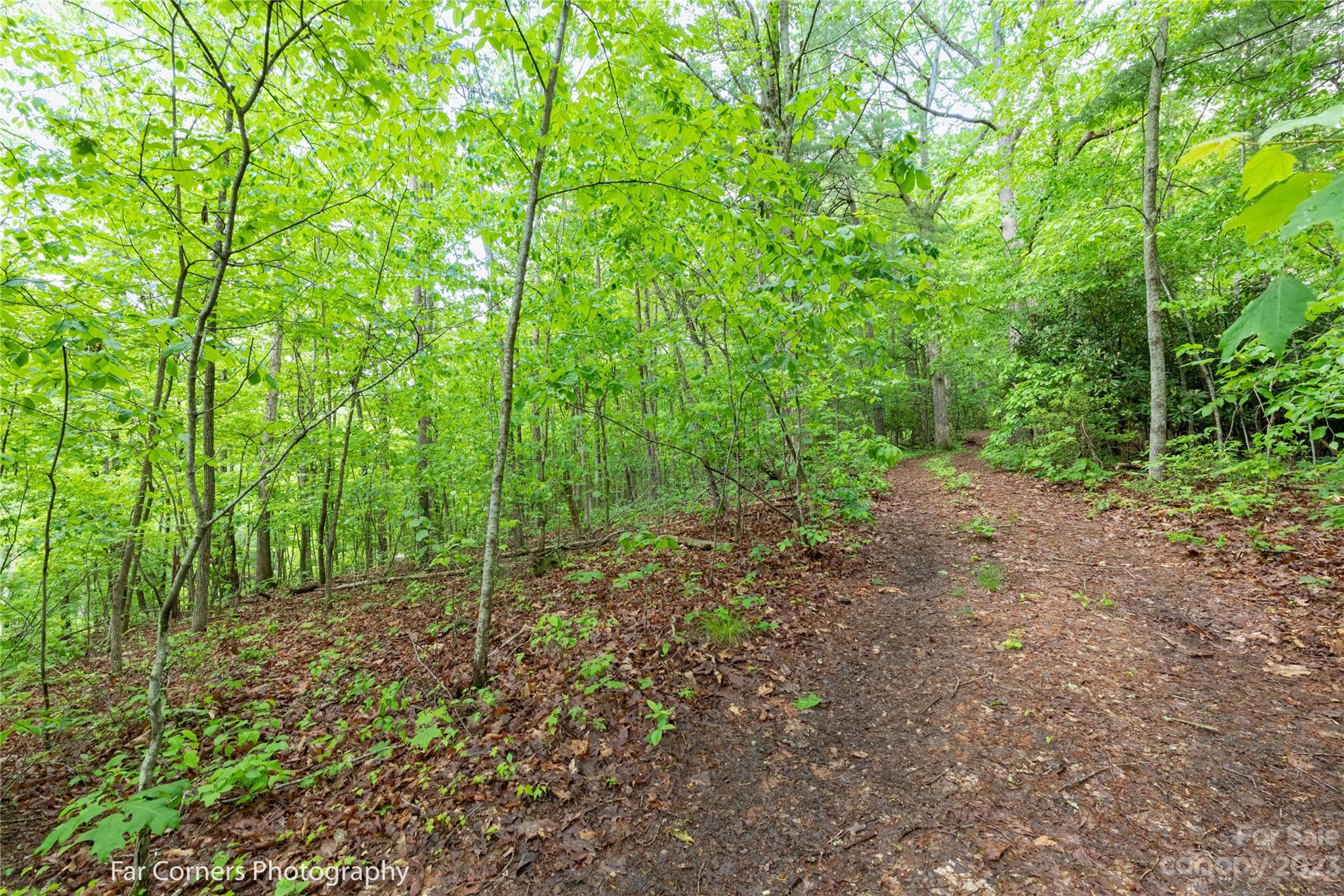 90 Morgan Cove Road Candler, NC 28715 - Photo 9 of 19 Gallery Image 9