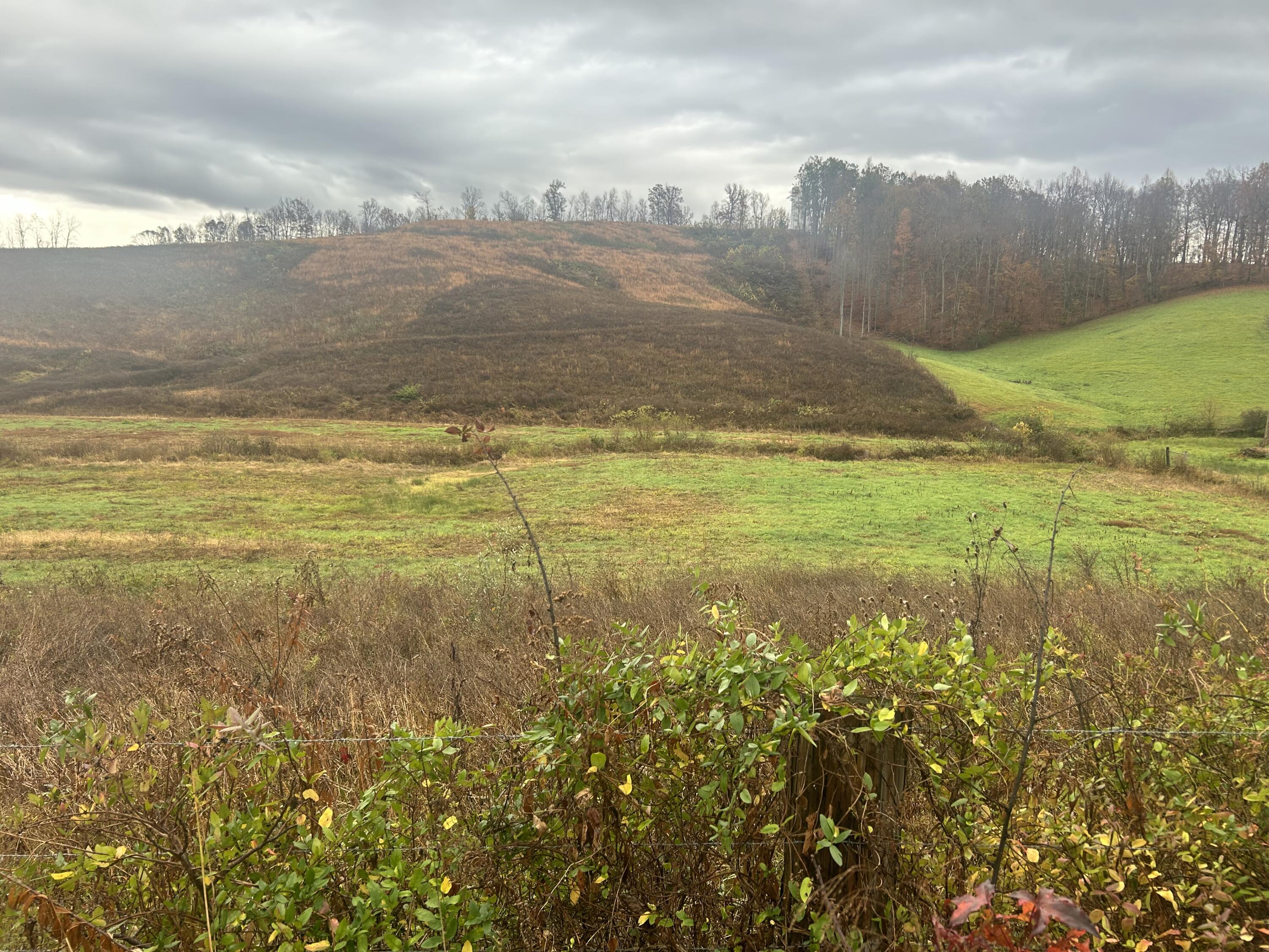 9999 Clyde Benge Road London, KY 40741 - Photo 6 of 13 Clyde B 9