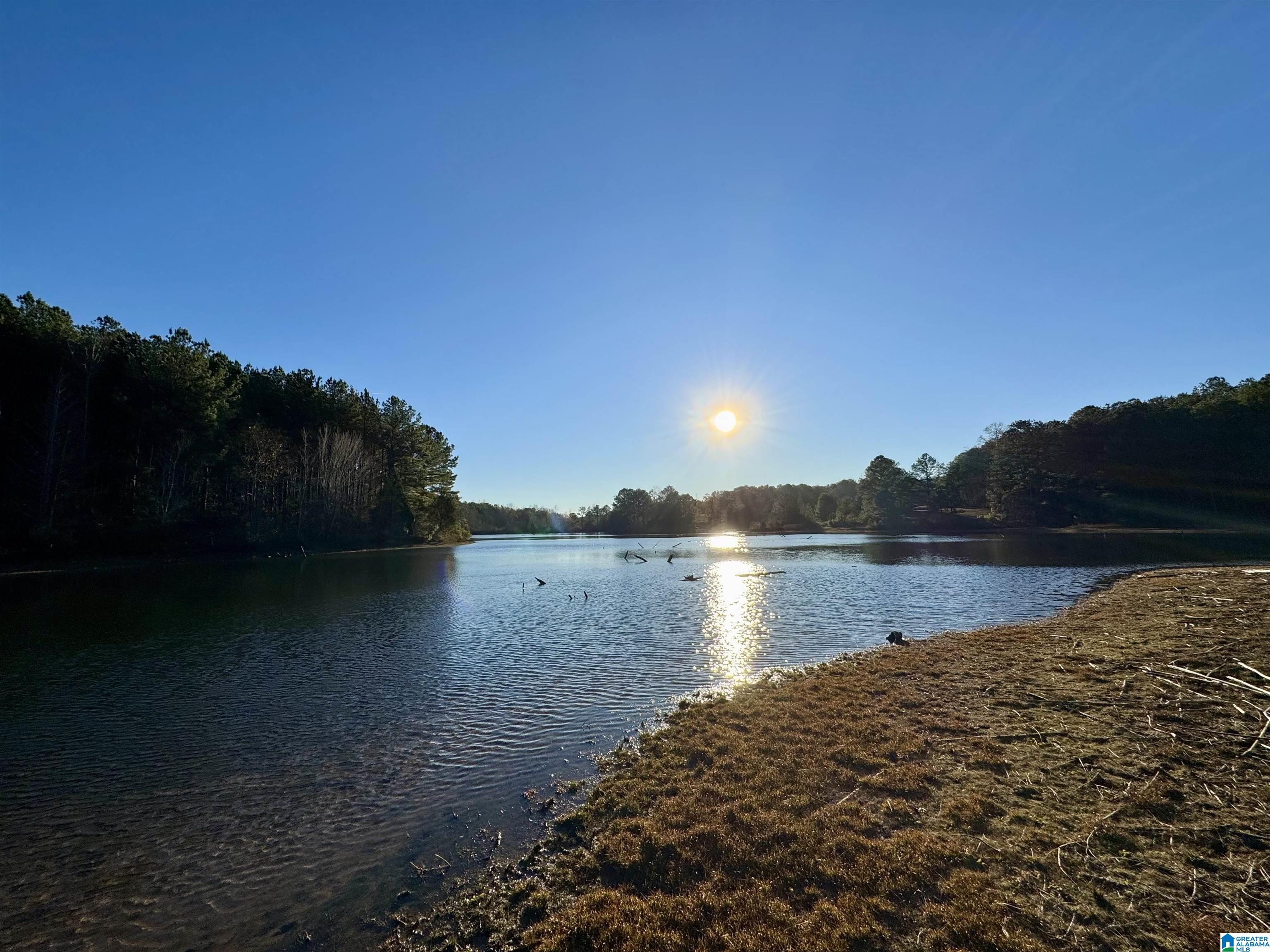 10000 Eastern Valley Road, Unit 10000 West Blocton, AL 35184 - Photo 17 of 21