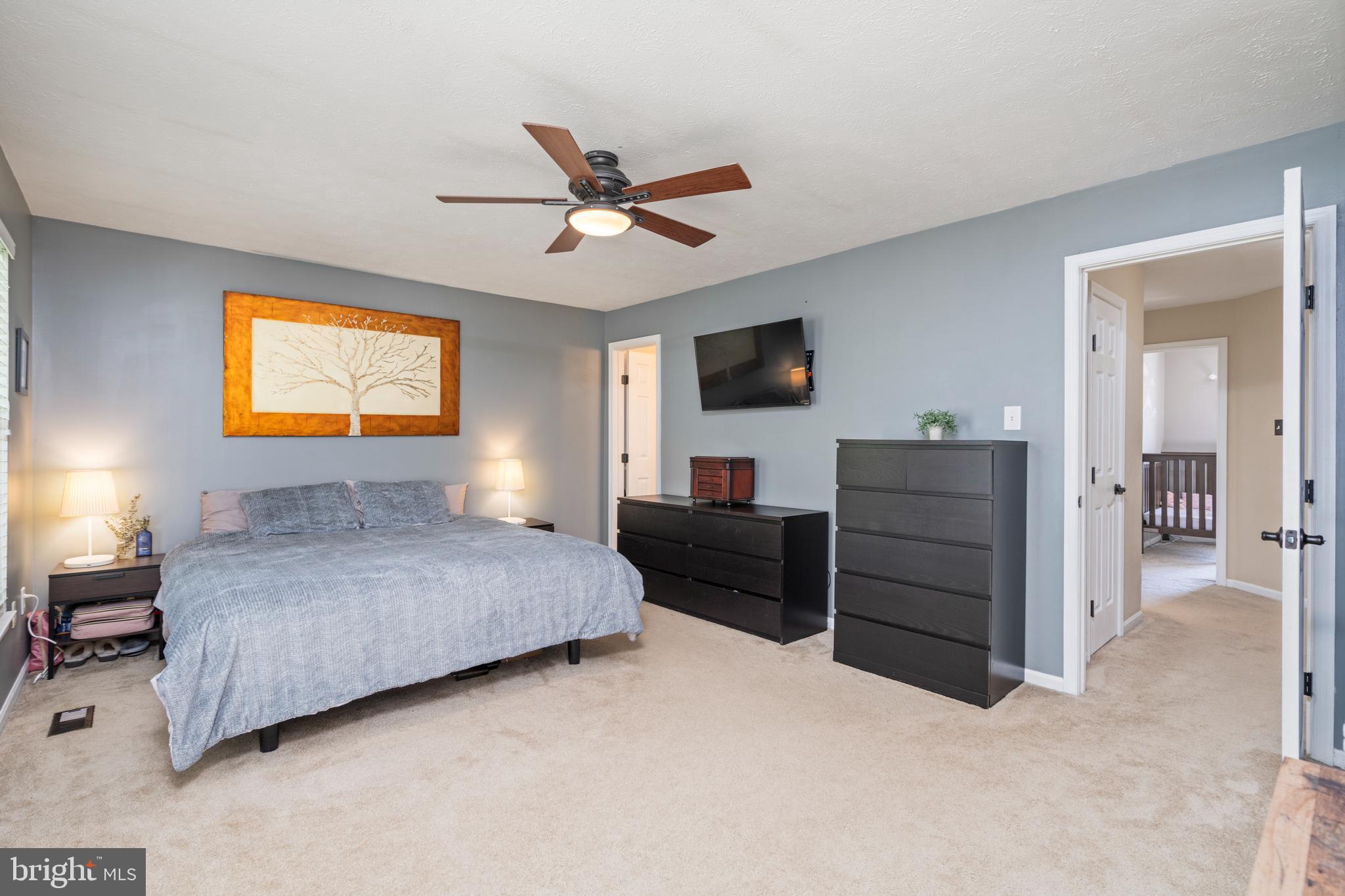 5337 Hollowstone Circle Rosedale, MD 21237 - Photo 19 of 44 Primary w/ Ceiling Fan