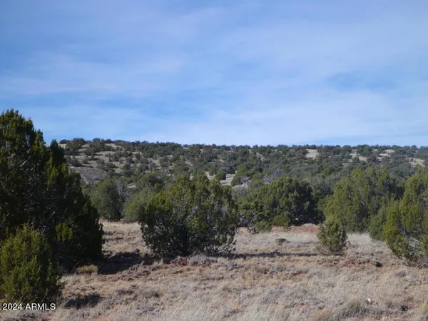 $7,499 | 4 County Road 8058, Concho, AZ 85924