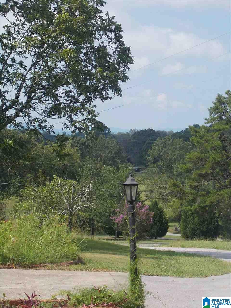 849 Fish Hatchery Road Eastaboga, AL 36260 - Photo 44 of 45