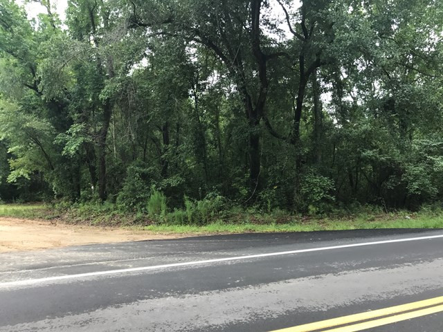 0 Surrey Race Road Salley, SC 29137 - Photo 12 of 14