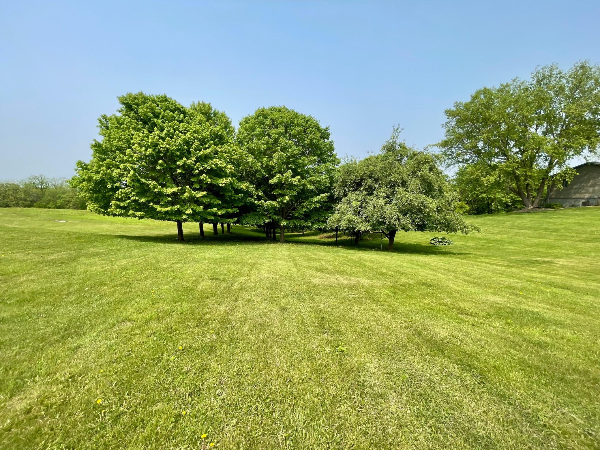 32337 Juniper Road Chatfield, MN 55923 - Photo 71 of 80