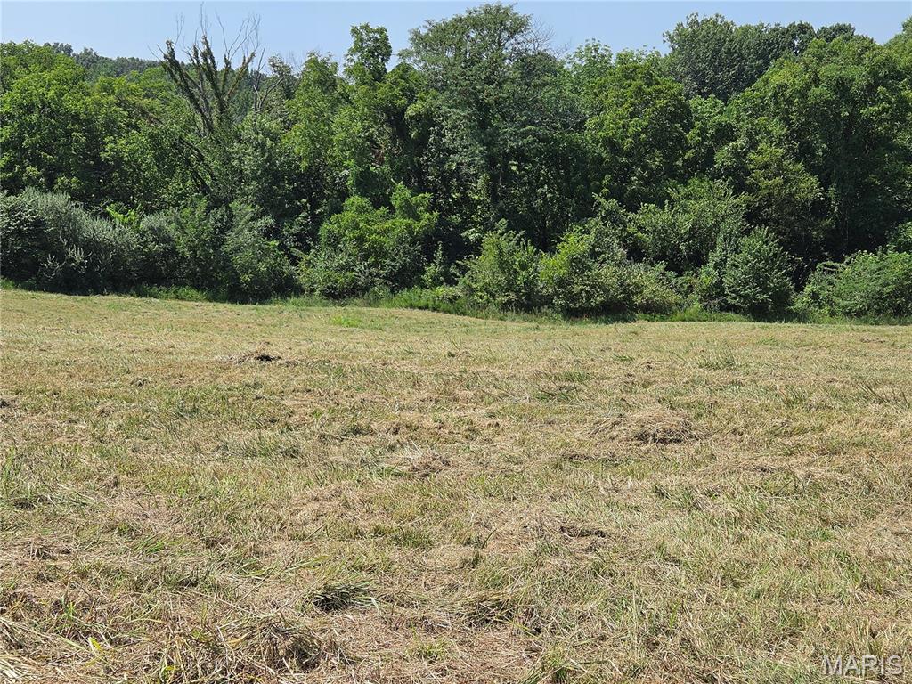 0 Ridge View Lane Jackson, MO 63755 - Photo 3 of 11 Gallery Image 3