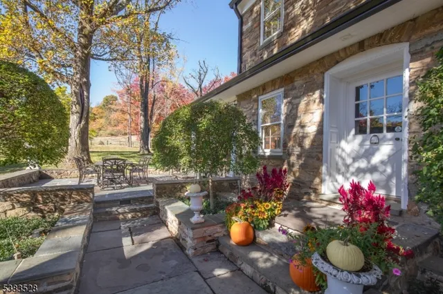 a view of a park with large trees