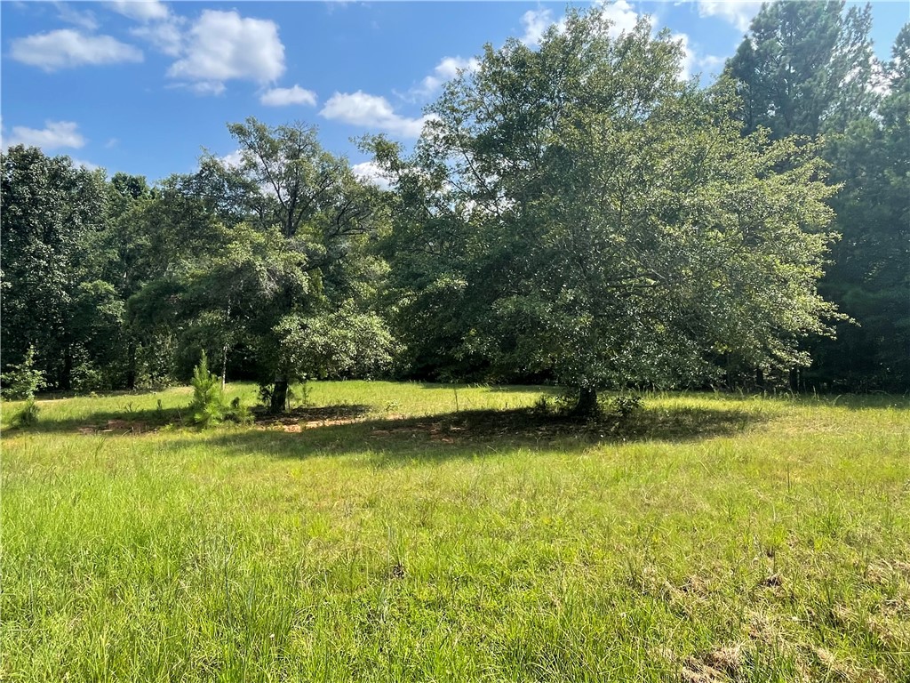 816 Scott Road Anderson, SC 29621 - Photo 3 of 6