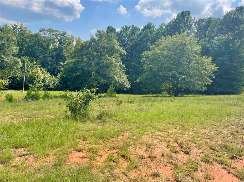 816 Scott Road Anderson, SC 29621 - Photo 4 of 6
