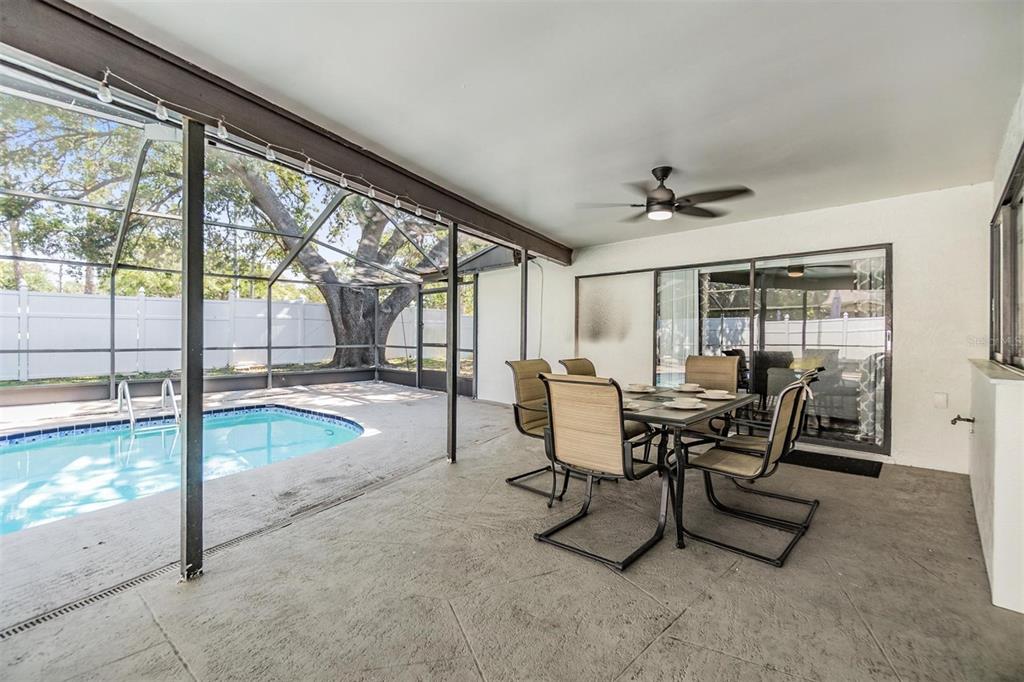1 Fernery Lane Safety Harbor, FL 34695 - Photo 12 of 44 a dining room with furniture and a floor to ceiling window