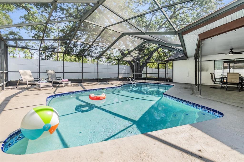 1 Fernery Lane Safety Harbor, FL 34695 - Photo 17 of 44 a view of a swimming pool with a patio