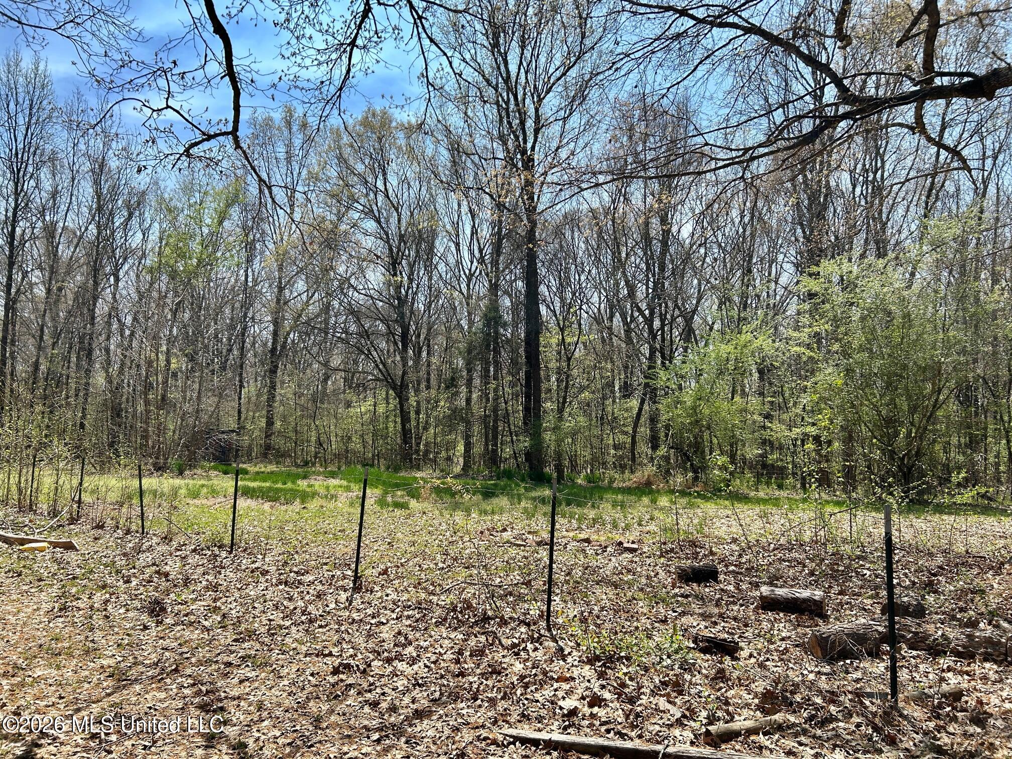 2250 Bend Road Coldwater, MS 38618 - Photo 11 of 13 IMG_8939