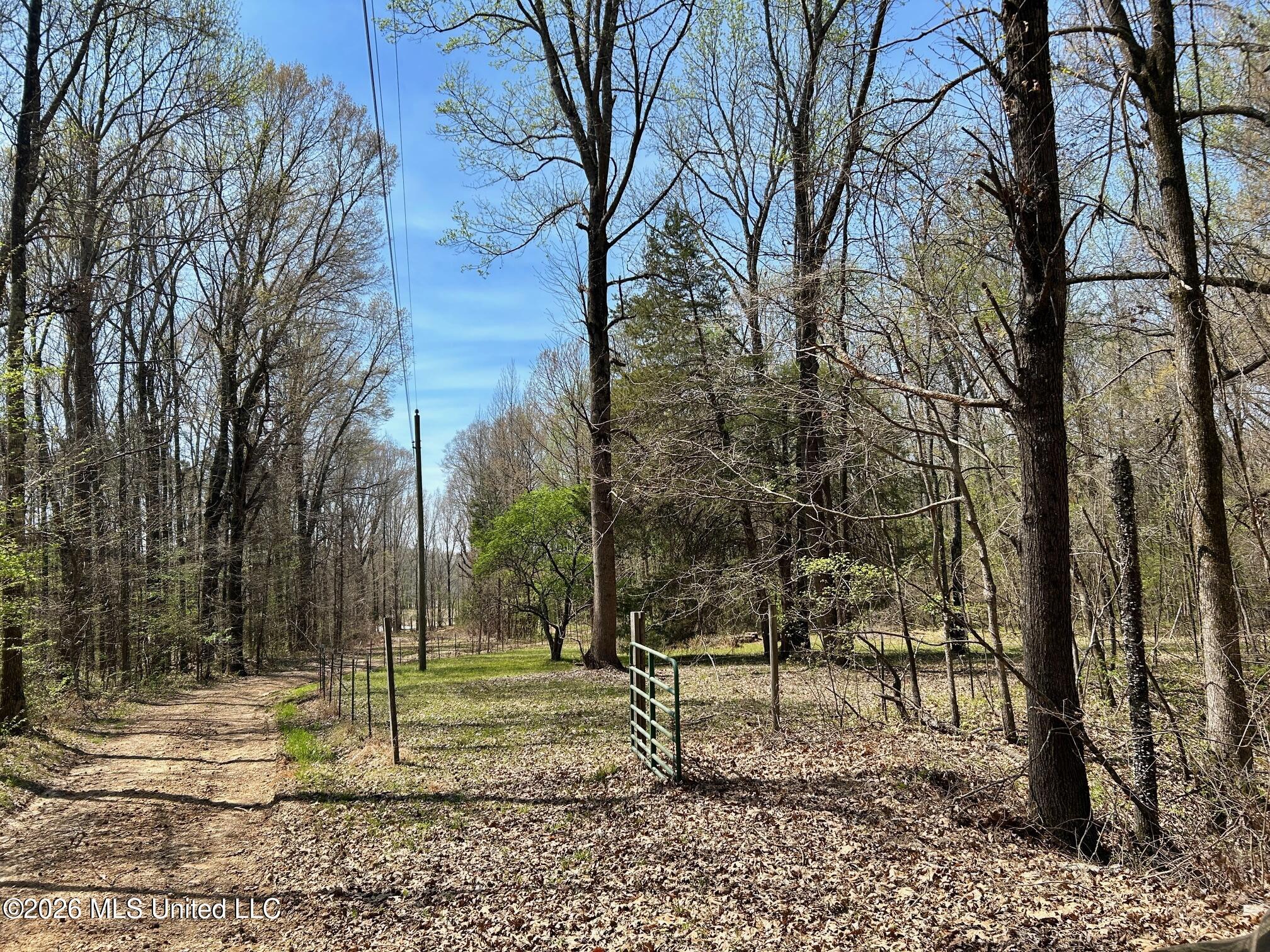 2250 Bend Road Coldwater, MS 38618 - Photo 13 of 13 IMG_8941
