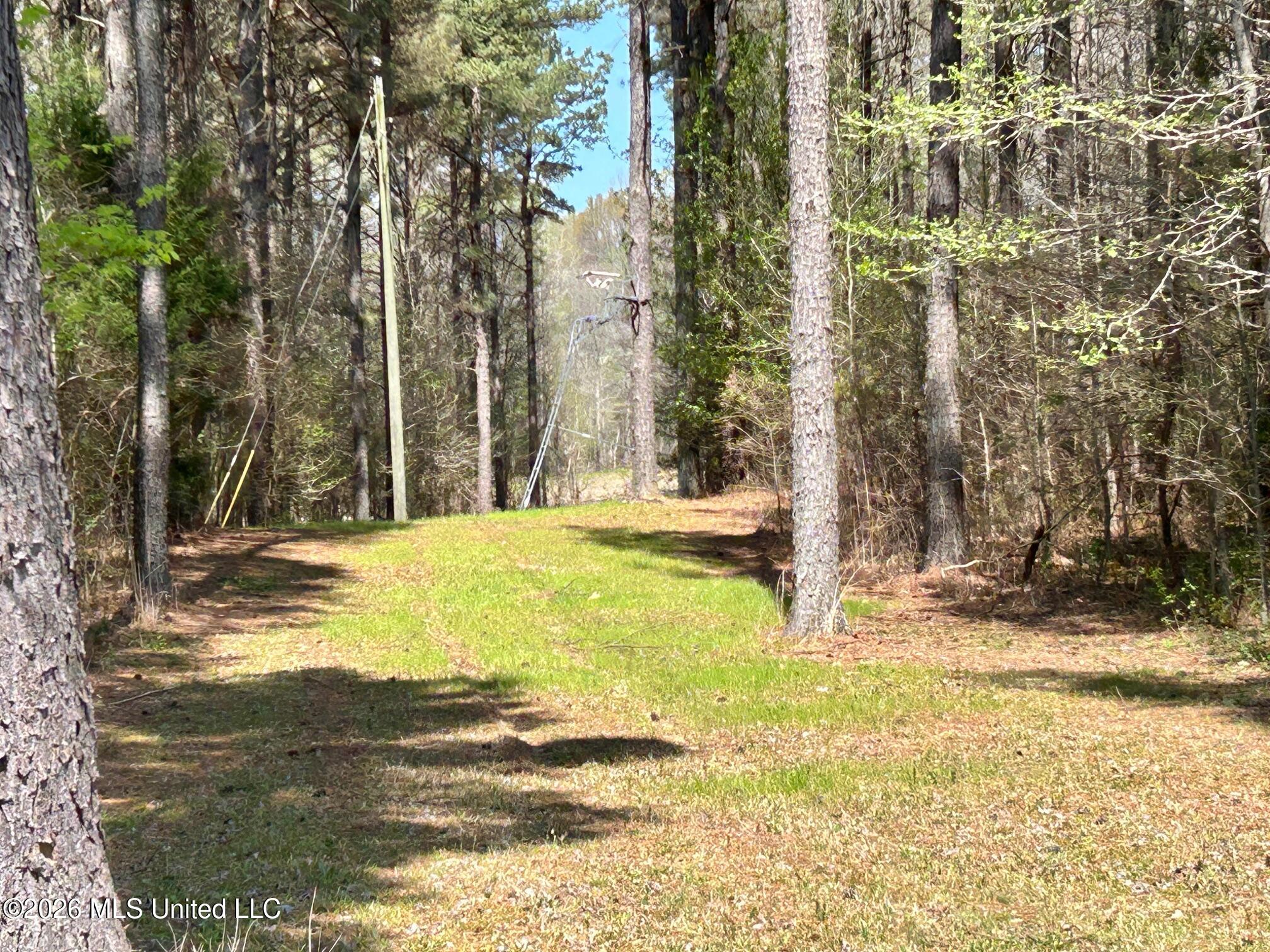 2250 Bend Road Coldwater, MS 38618 - Photo 2 of 13 IMG_8930