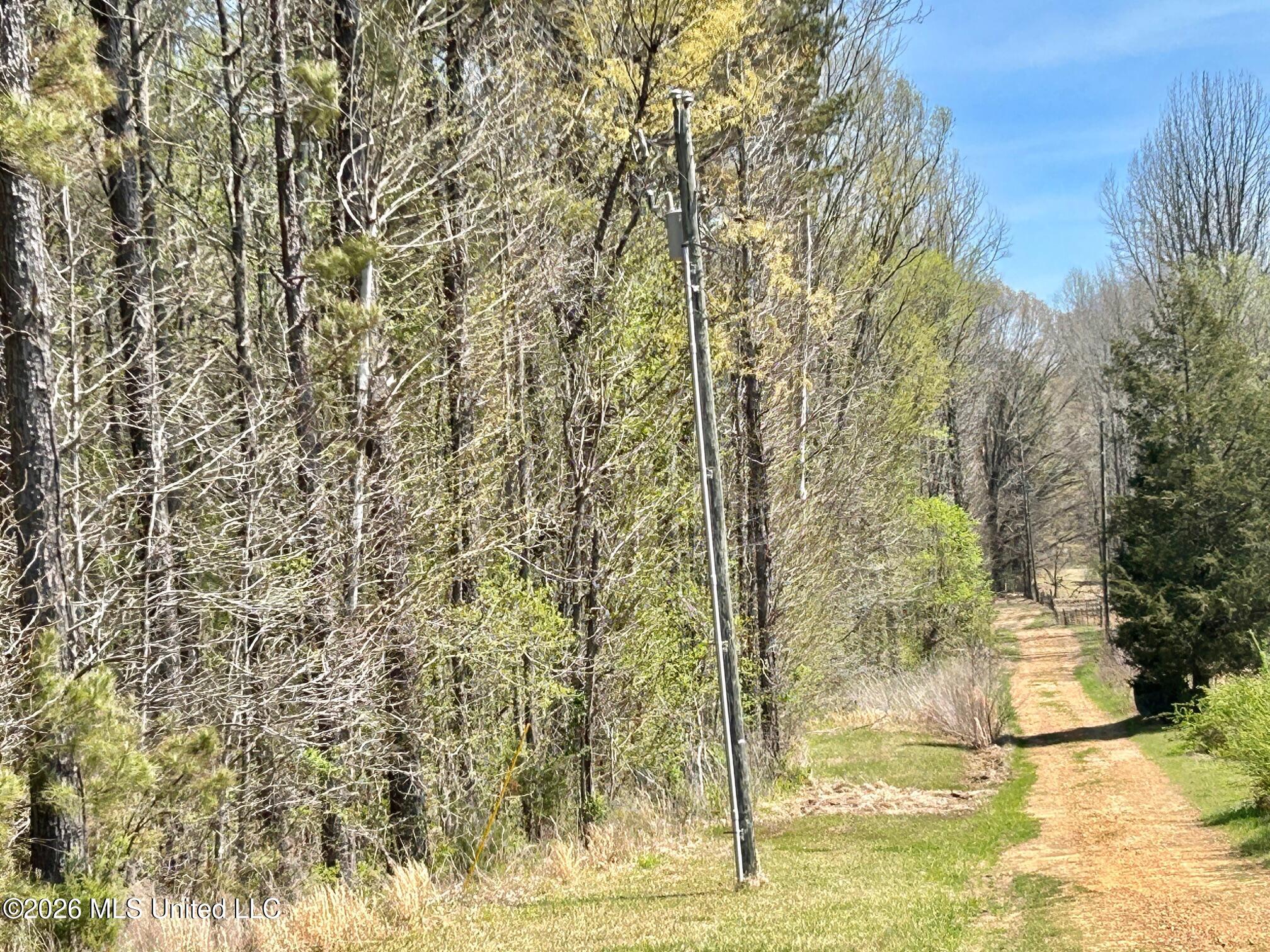 2250 Bend Road Coldwater, MS 38618 - Photo 3 of 13 IMG_8931