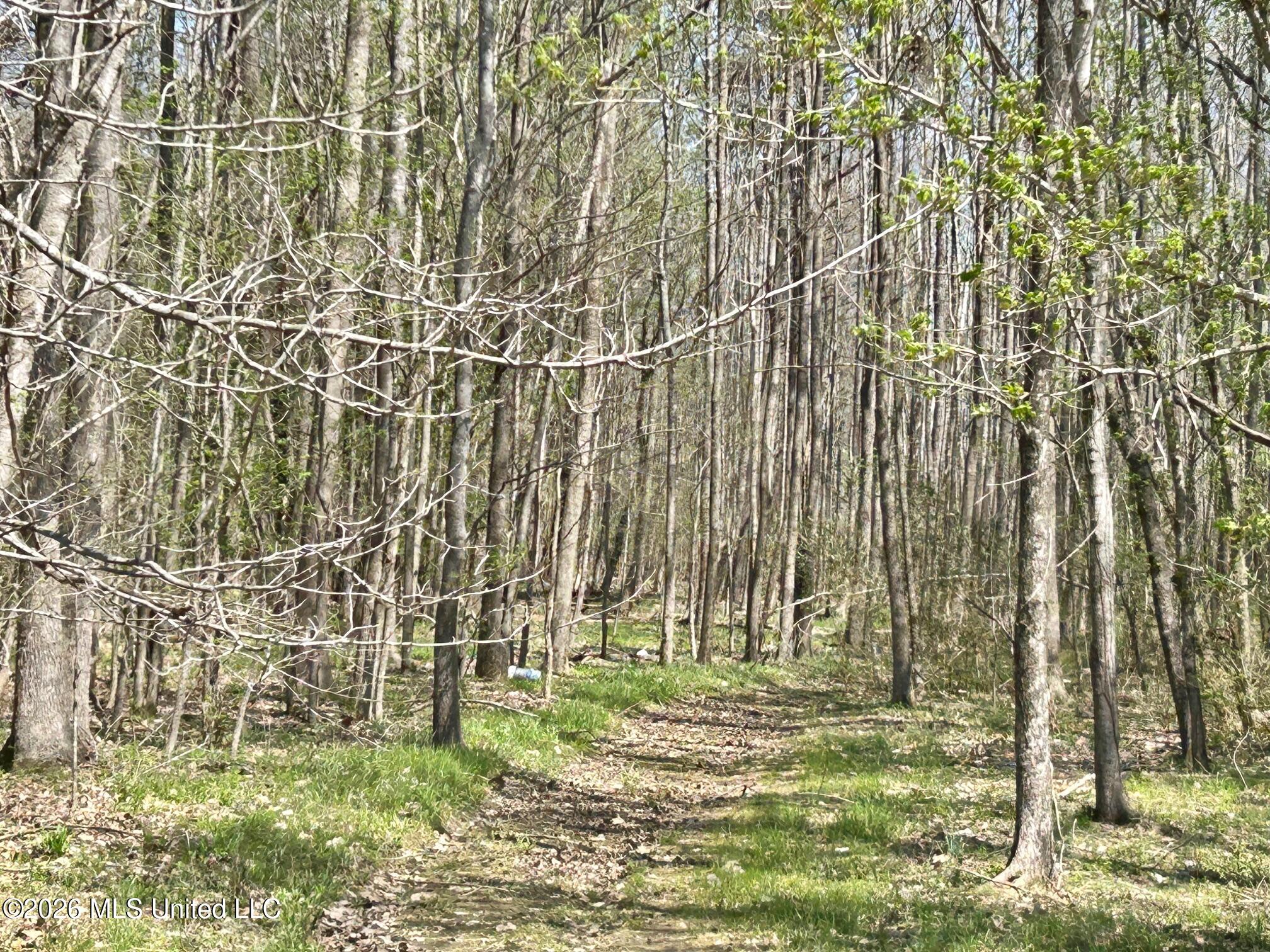 2250 Bend Road Coldwater, MS 38618 - Photo 4 of 13 IMG_8932