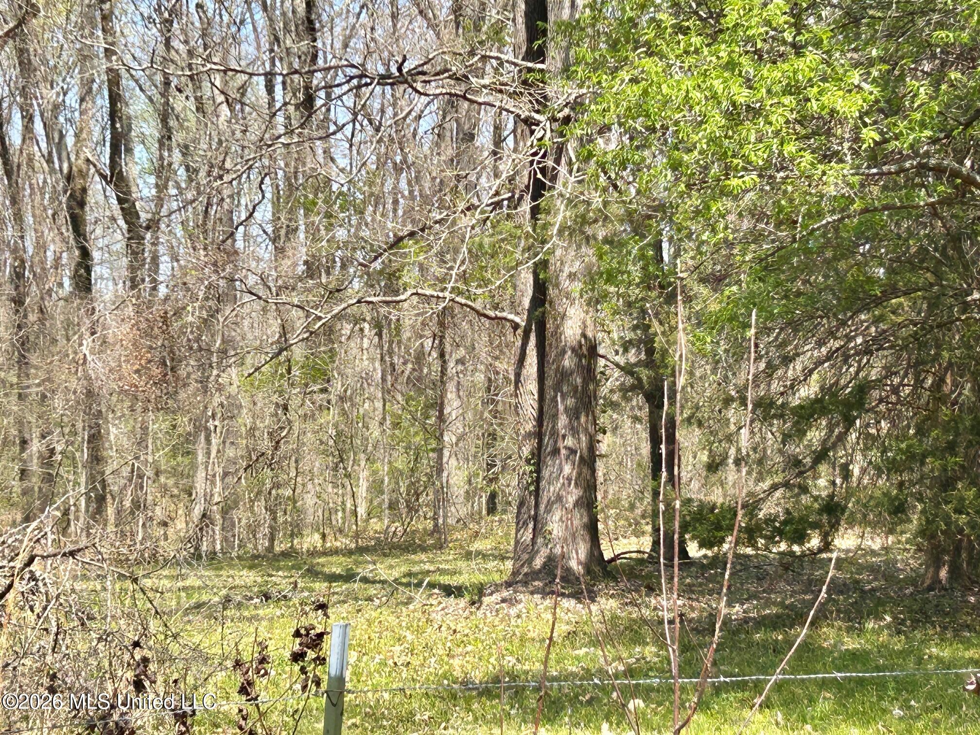 2250 Bend Road Coldwater, MS 38618 - Photo 5 of 13 IMG_8933