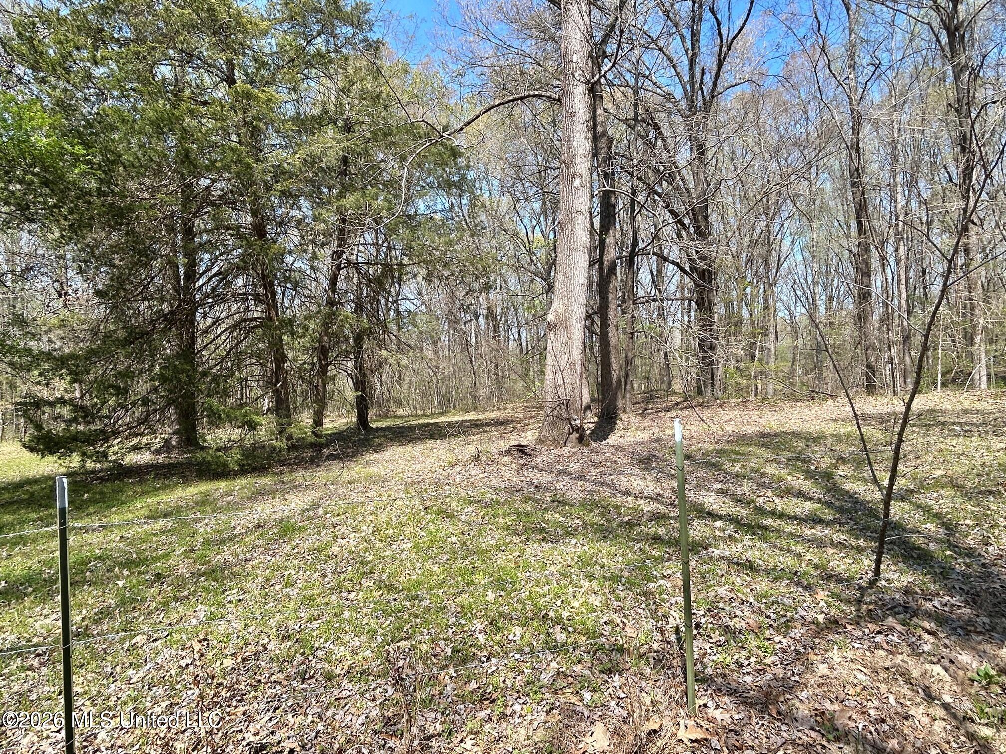 2250 Bend Road Coldwater, MS 38618 - Photo 6 of 13 IMG_8934