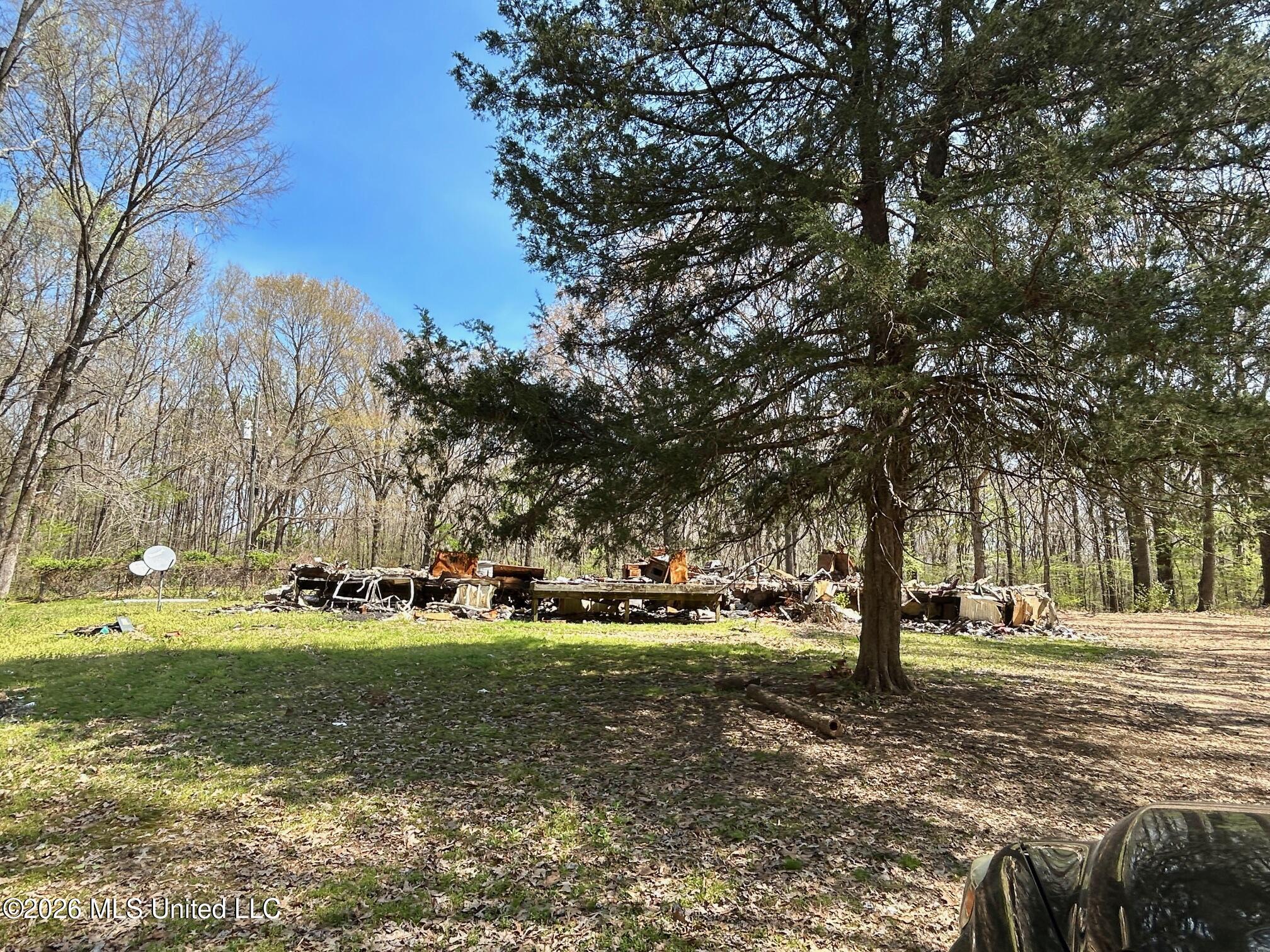 2250 Bend Road Coldwater, MS 38618 - Photo 8 of 13 IMG_8936