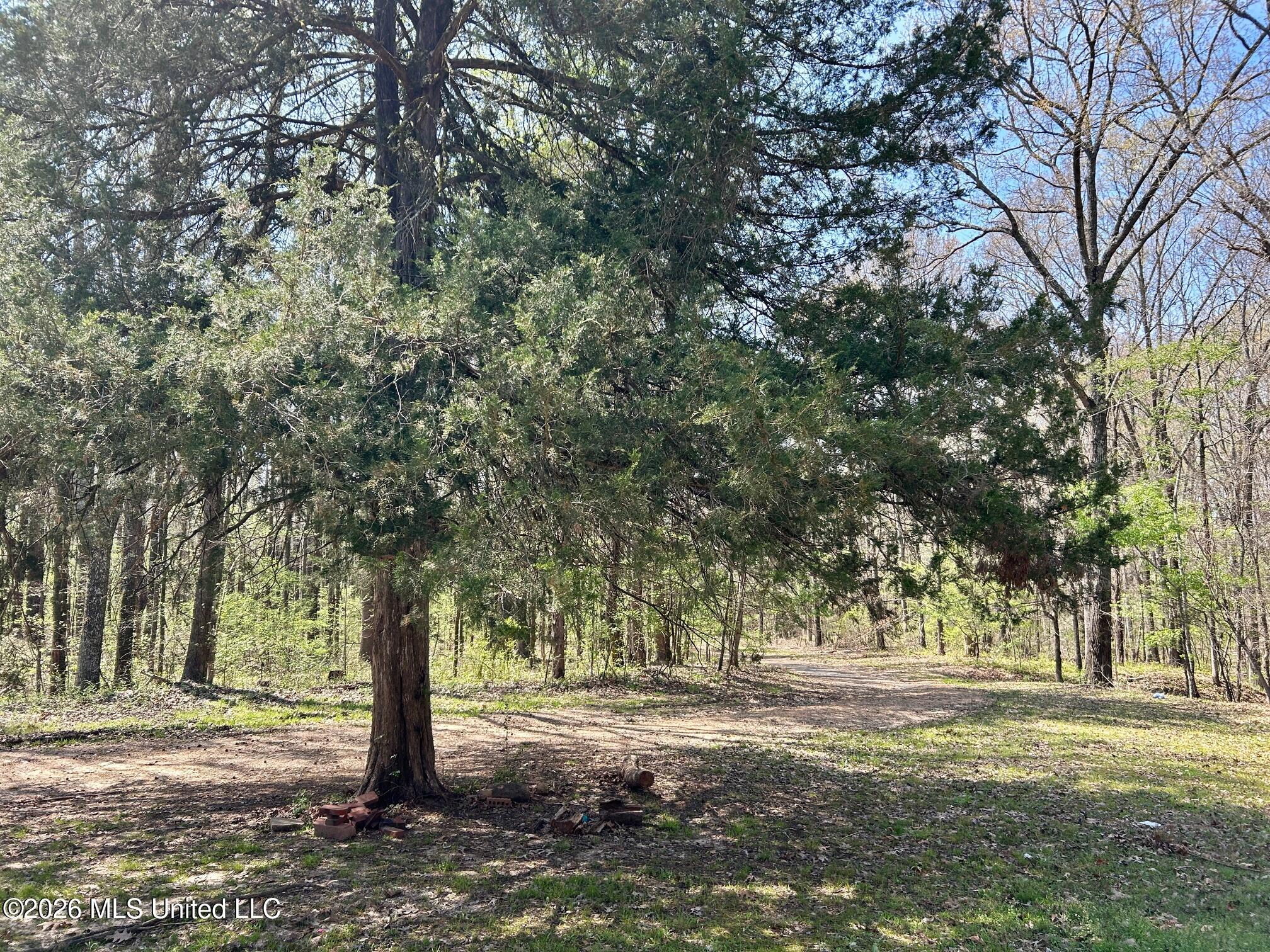 2250 Bend Road Coldwater, MS 38618 - Photo 10 of 13 IMG_8938