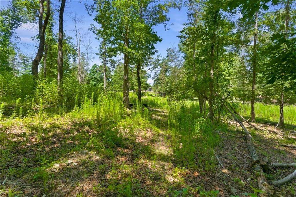 0 Williams Road Southeast Silver Creek, GA 30173 - Photo 25 of 35