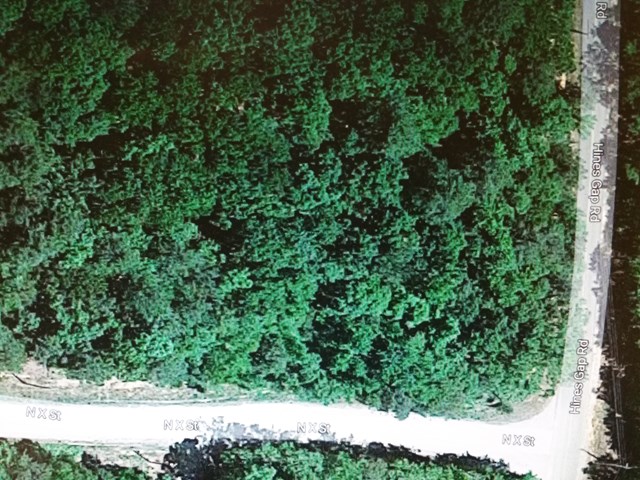 See Description See Description Hines Gap Road Hamilton, GA 31811 - Photo 1 of 1 Main View
