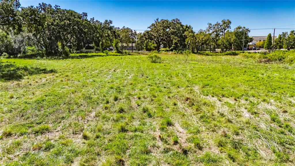 5428 Durant Road Dover, FL 33527 - Photo 16 of 17 Gallery Image 16
