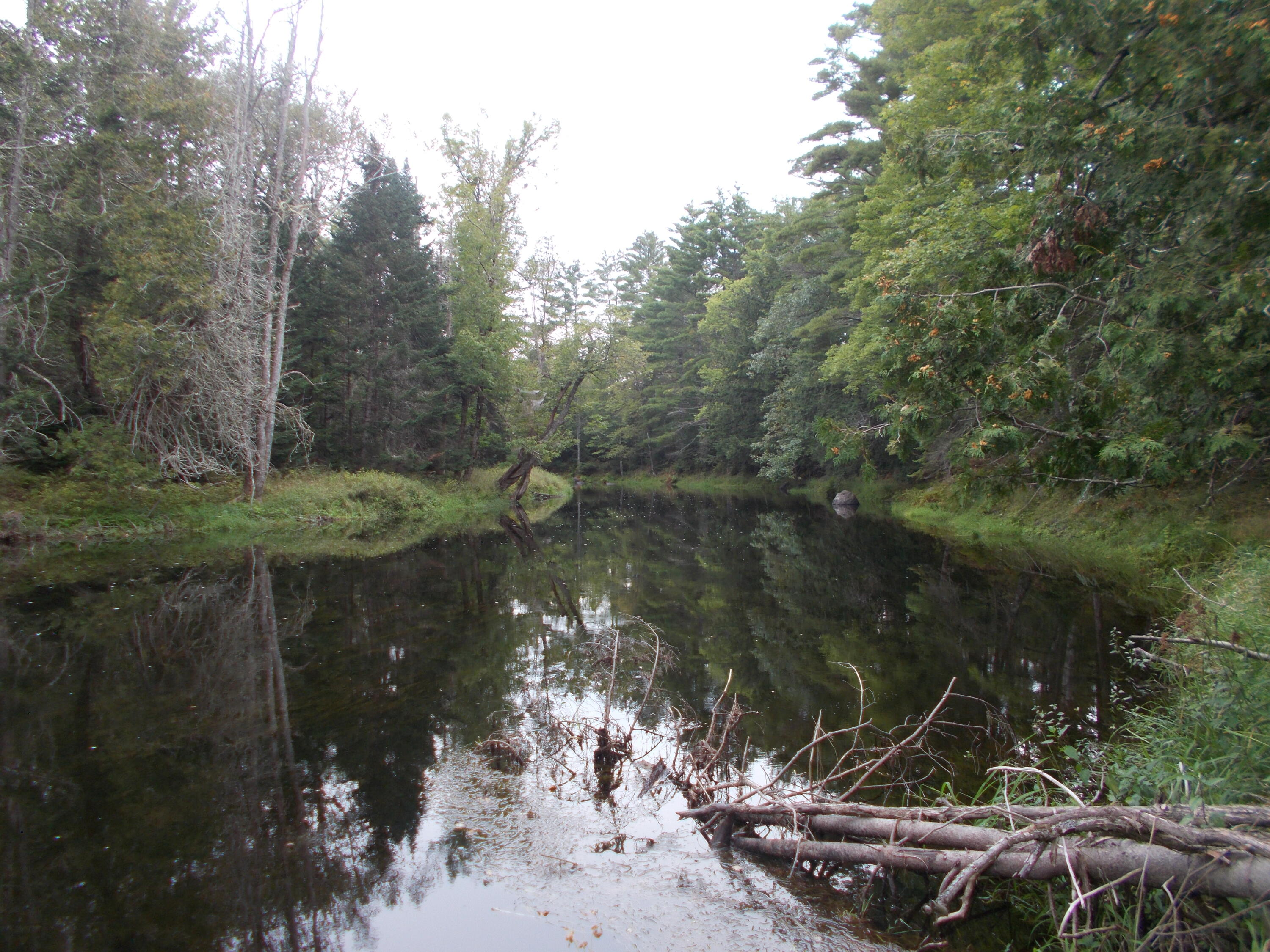 209 Winnecook Road Burnham, ME 04922 - Photo 5 of 16 DSCN2653