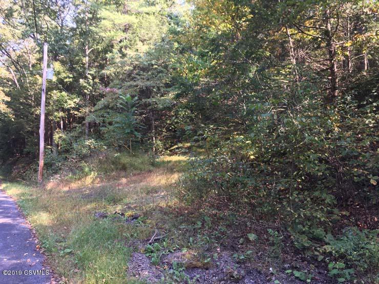 Lot 1 Neely Road Mifflin, PA 17058 - Photo 3 of 4 Gallery Image 3