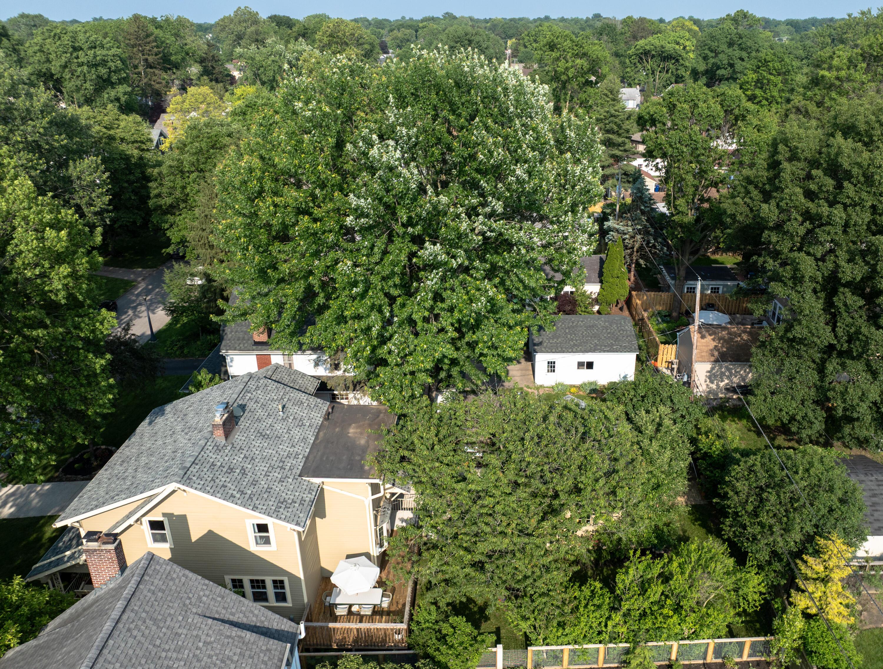 203 Winthrop Road Columbus, OH 43214 - Photo 60 of 60 203-Winthrip-Drone-06