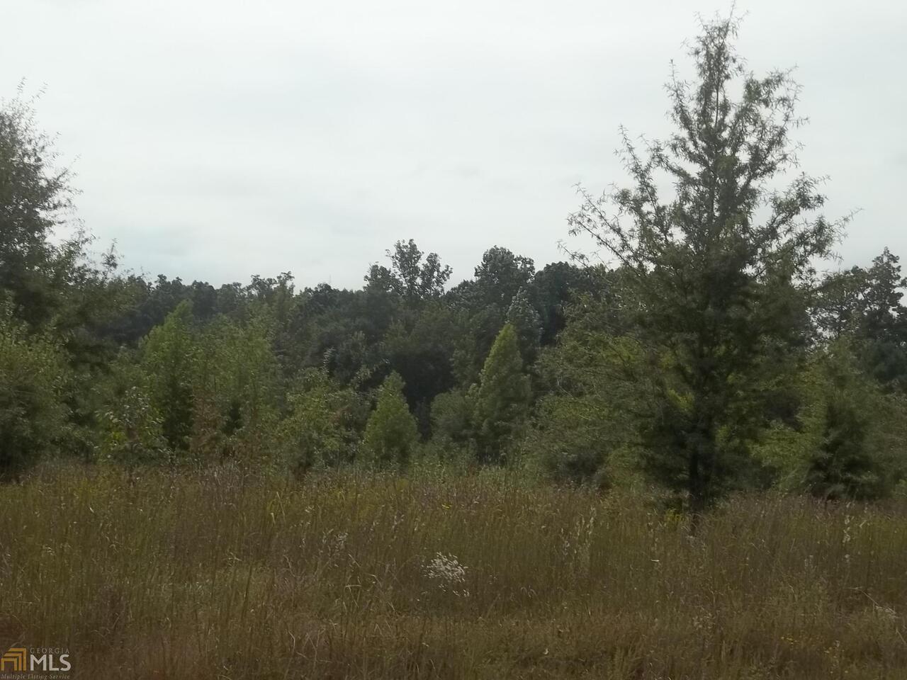 1971 Weaver Jones Road, Unit 39 Rutledge, GA 30663 - Photo 1 of 1 a view of a lake in middle of forest