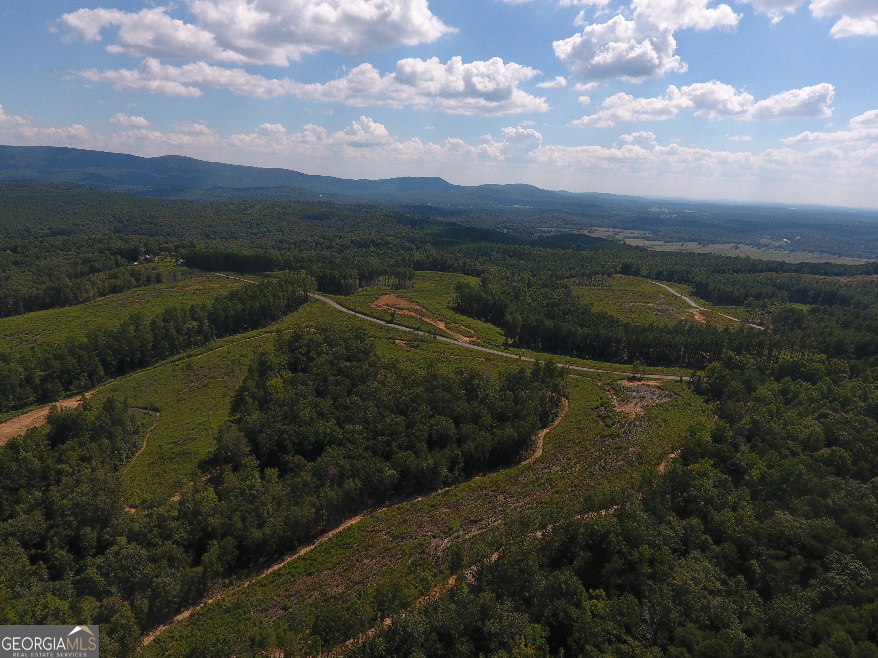 0 Johnson Mountain Road, Unit 7402A Fairmount, GA 30139 - Photo 14 of 38 a view of lake with mountain