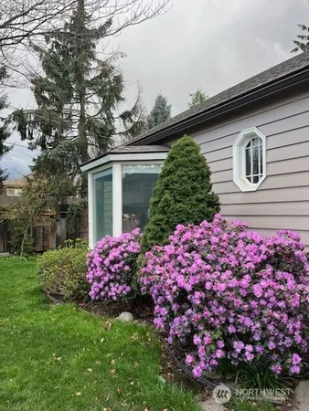a view of a backyard with wooden fence