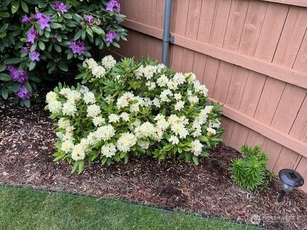a front view of a multi story residential apartment building with a yard