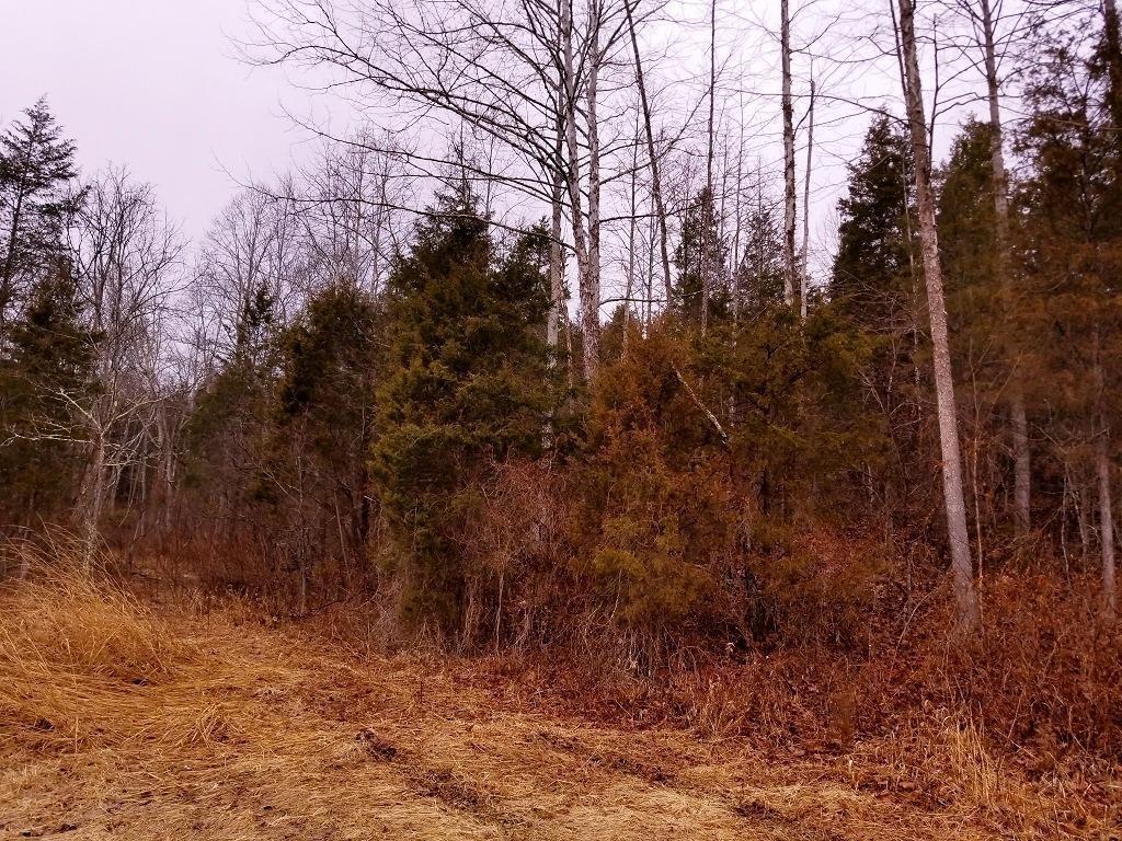 0 Jones Road Peebles, OH 45660 - Photo 1 of 1 Gallery Image 1