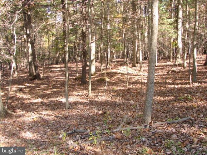 Scofield Road Flintstone, MD 21530 - Photo 2 of 8 View B of Lot 5