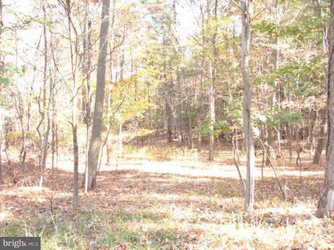 Scofield Road Flintstone, MD 21530 - Photo 3 of 8 View C of Lot 5