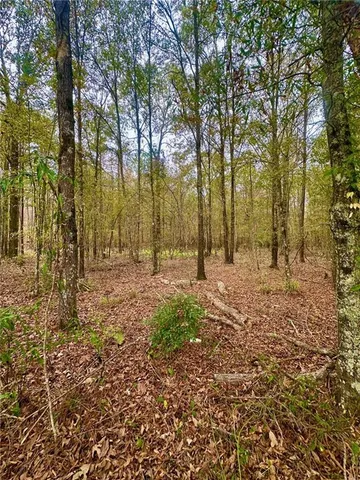 $40,000 | 0 Highway 454, Pineville, LA 71360