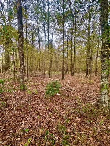 $40,000 | 0 Highway 454, Pineville, LA 71360
