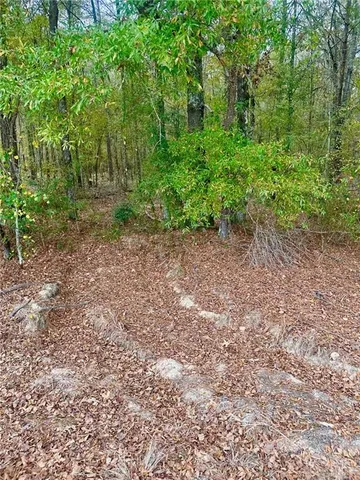 $40,000 | 0 Highway 454, Pineville, LA 71360