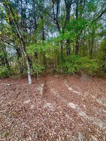 $40,000 | 0 Highway 454, Pineville, LA 71360