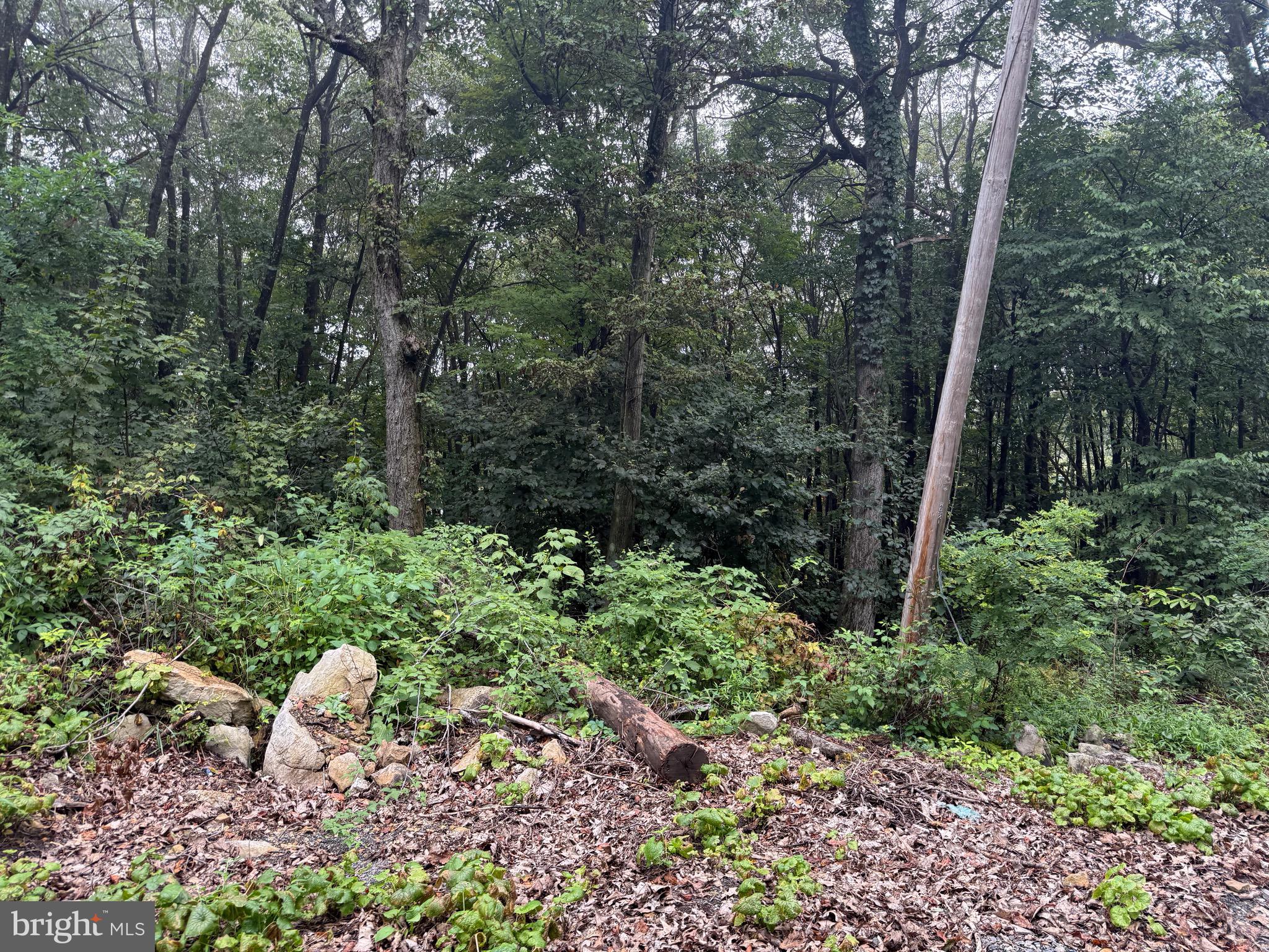 0 Pinnacle Road Keyser, WV 26726 - Photo 50 of 61