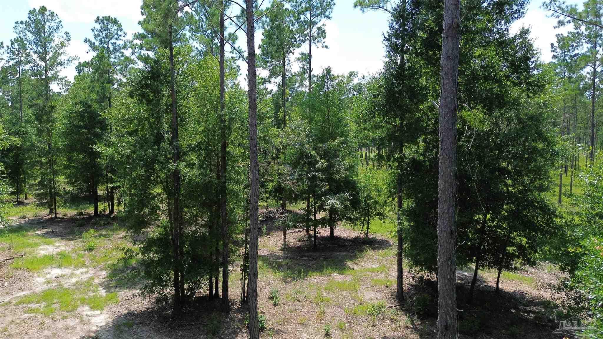 Lot 15 Pineview Church Road Jay, FL 32565 - Photo 1 of 19