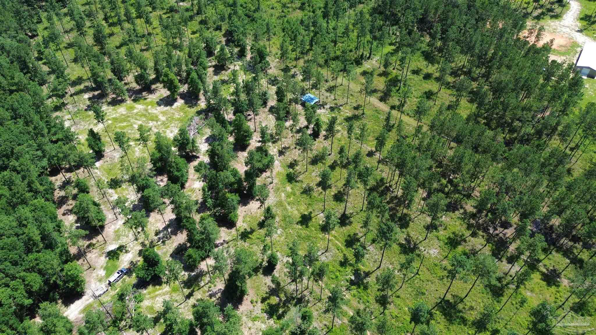 Lot 15 Pineview Church Road Jay, FL 32565 - Photo 13 of 19