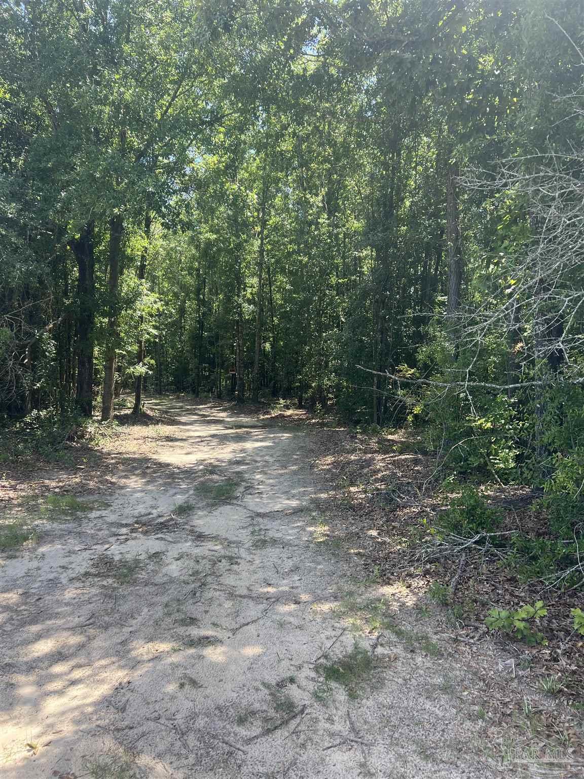Lot 15 Pineview Church Road Jay, FL 32565 - Photo 17 of 19