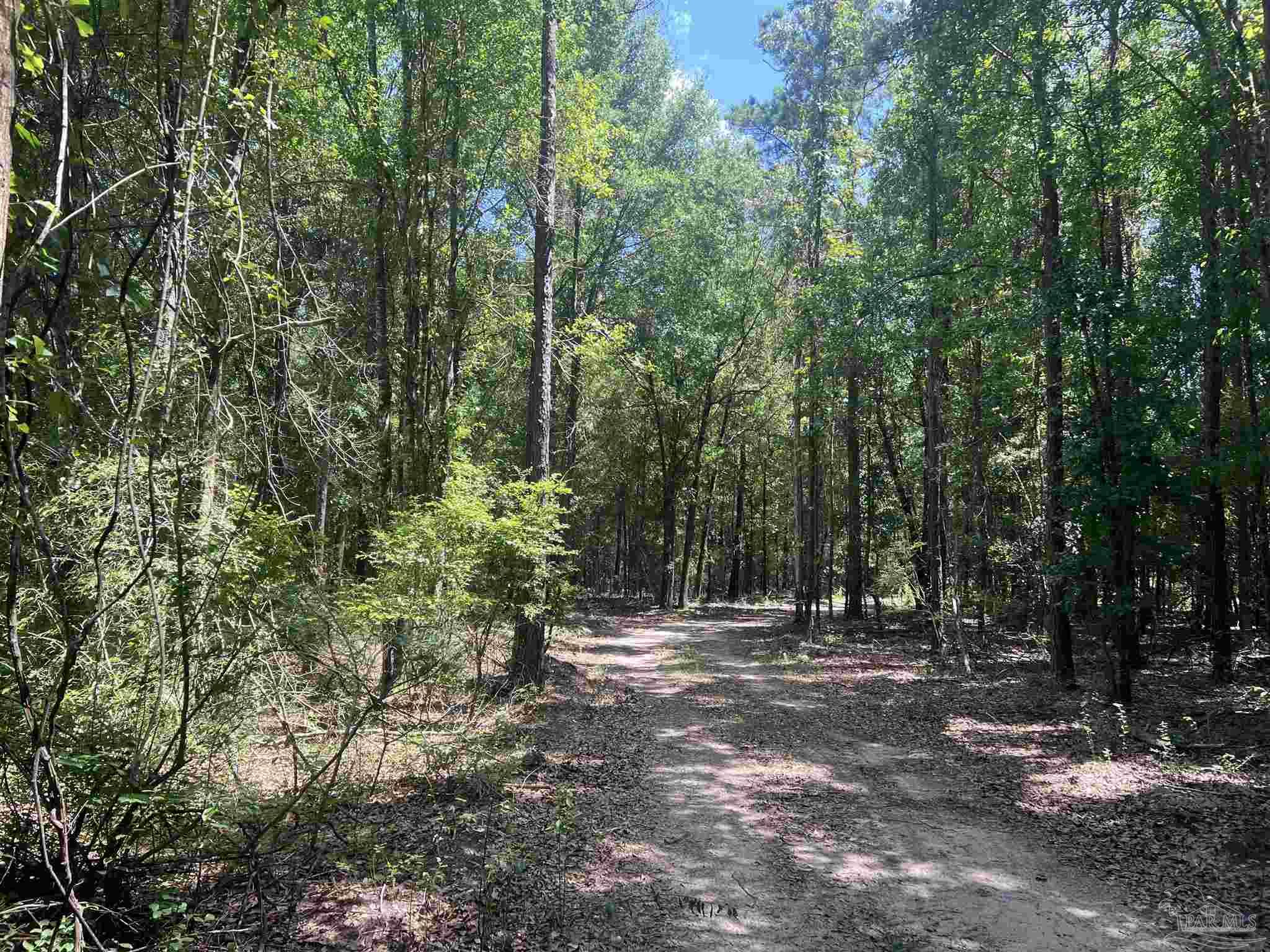 Lot 15 Pineview Church Road Jay, FL 32565 - Photo 19 of 19