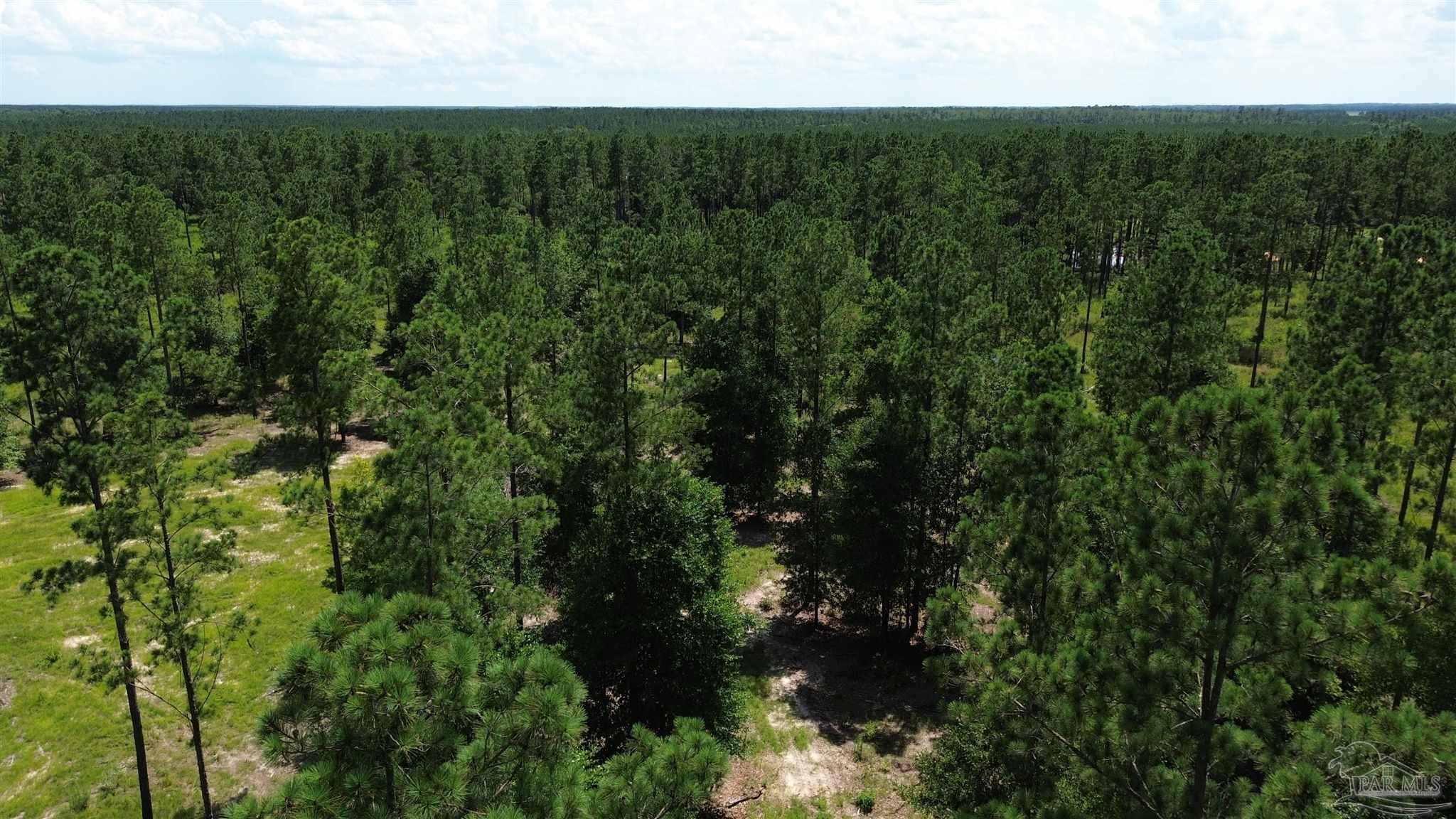 Lot 15 Pineview Church Road Jay, FL 32565 - Photo 3 of 19