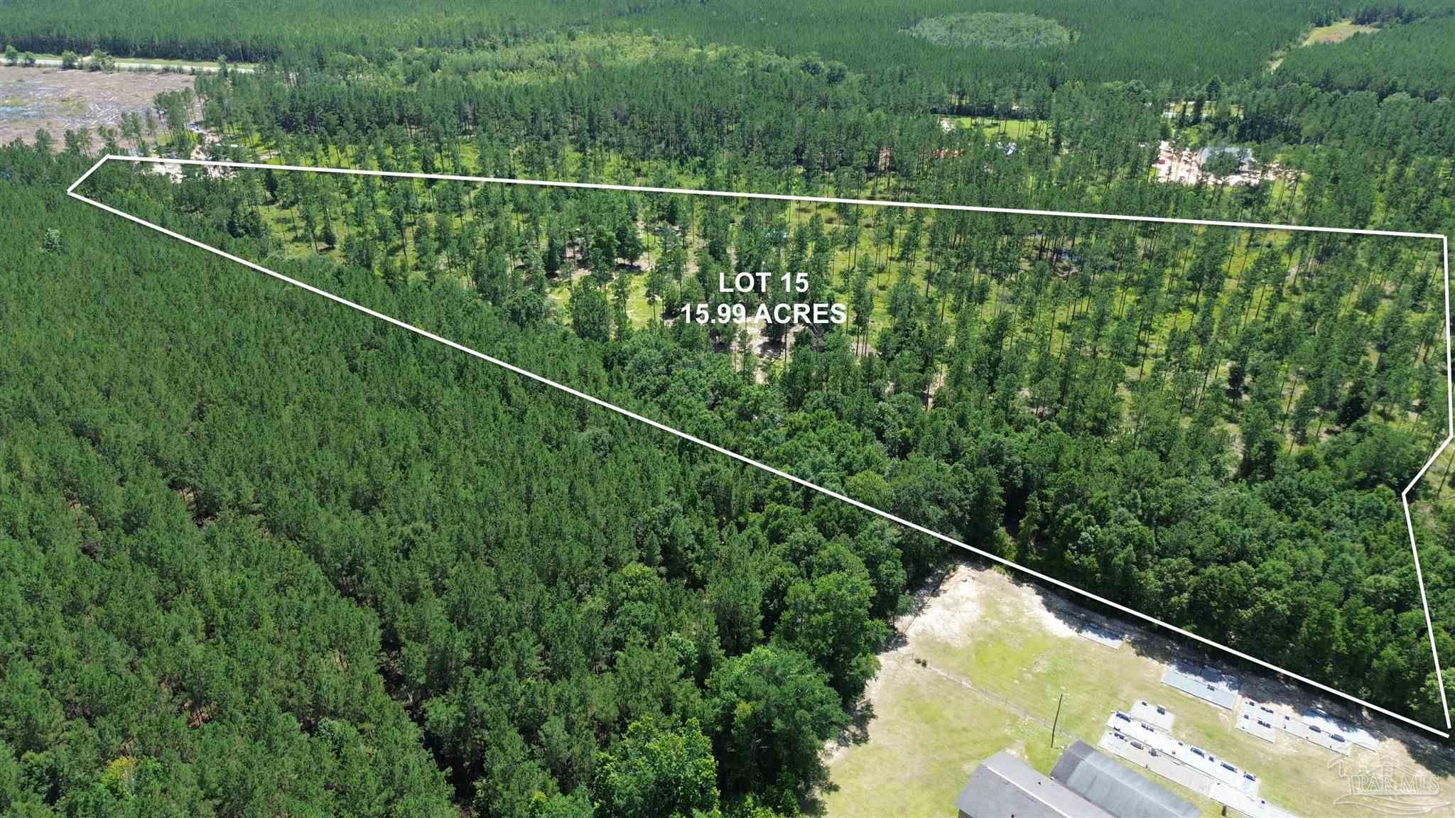 Lot 15 Pineview Church Road Jay, FL 32565 - Photo 4 of 19