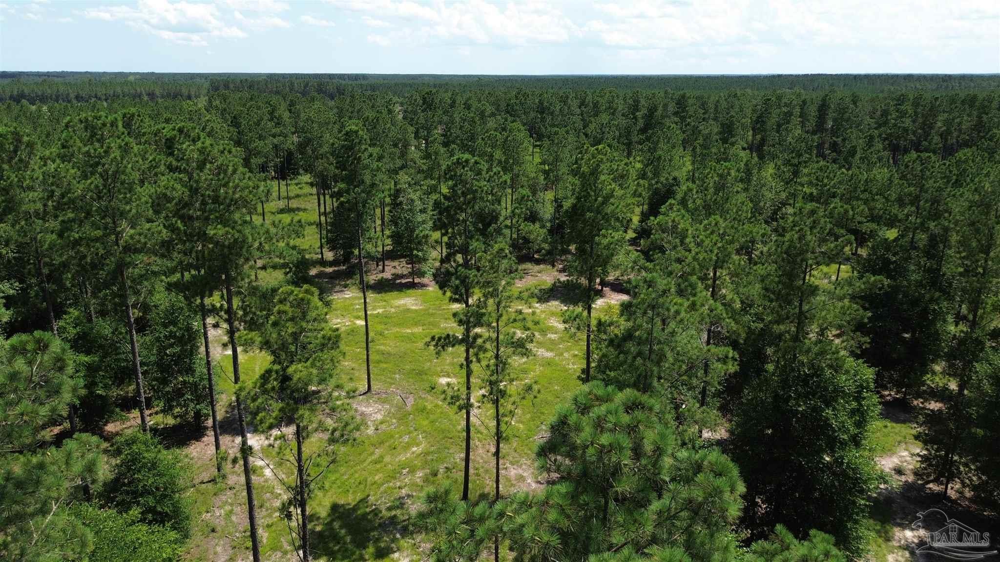 Lot 15 Pineview Church Road Jay, FL 32565 - Photo 5 of 19