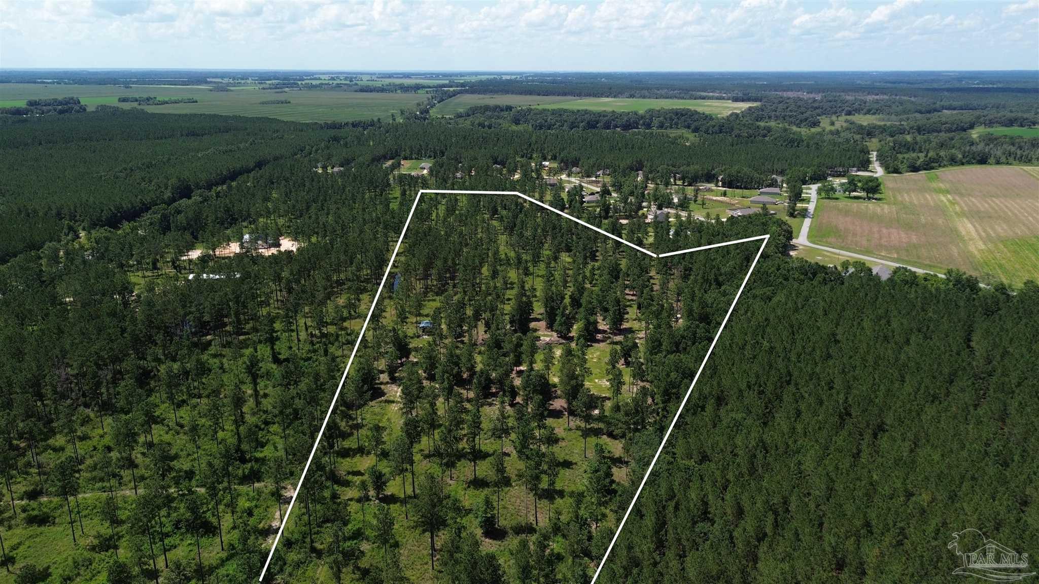 Lot 15 Pineview Church Road Jay, FL 32565 - Photo 6 of 19
