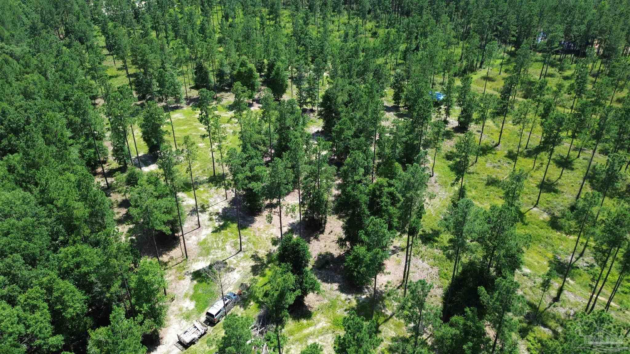 Lot 15 Pineview Church Road Jay, FL 32565 - Photo 8 of 19